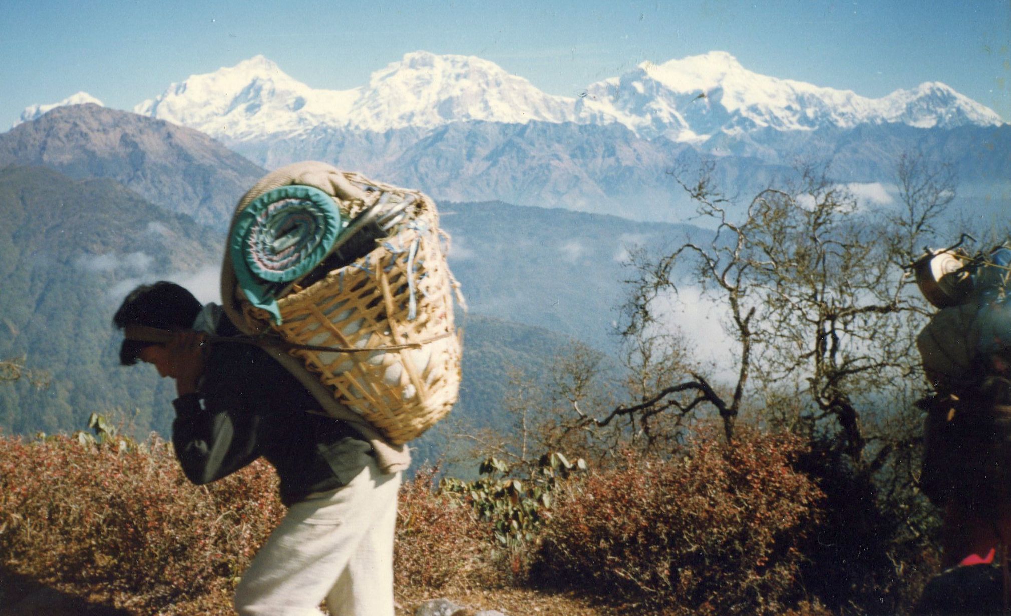 The Manaslu Himal from Talbrung Danda