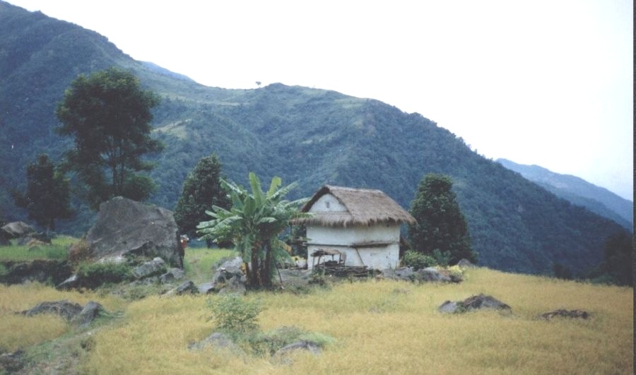 Farmhouse on route from Num to Seduah