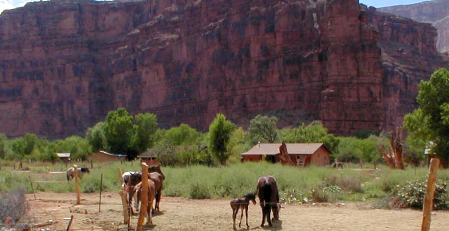 Supai Village in Arizona, USA