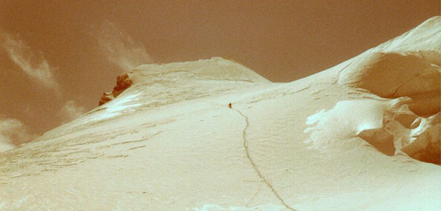 Final snow slopes to summit of the Ortler ( Cima Ortles )