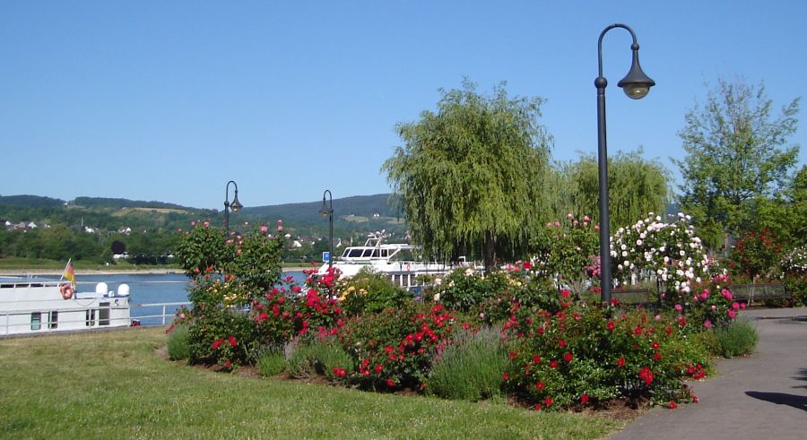 Rhine River at Koblenz in the Eifel Region of Germany