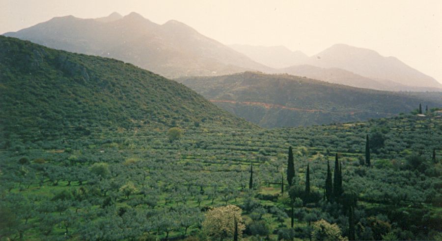 Countryside near Bassae ( Vassae ) on route to Andritsena in the Peloponnese of Greece