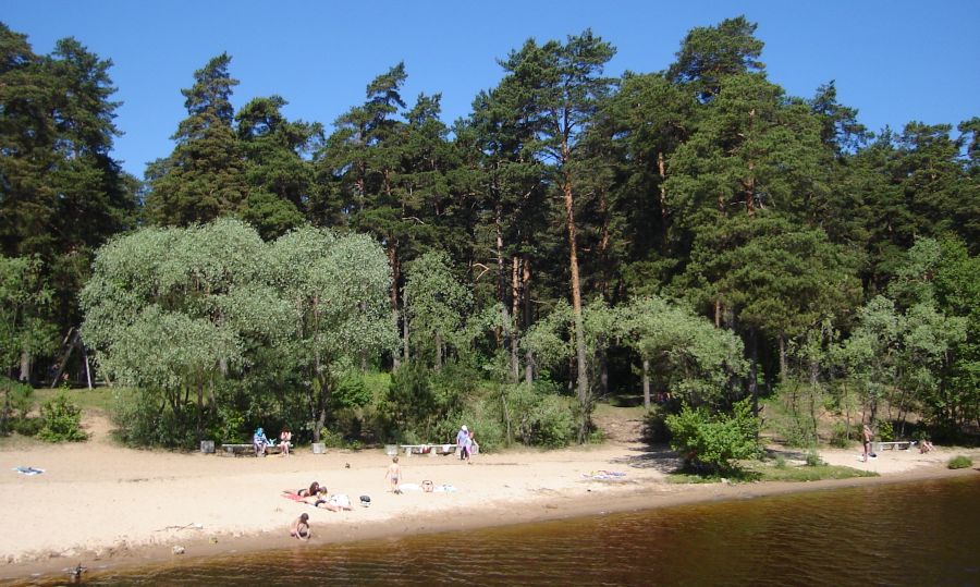 Mezaparks on the banks of Lake Kisezers