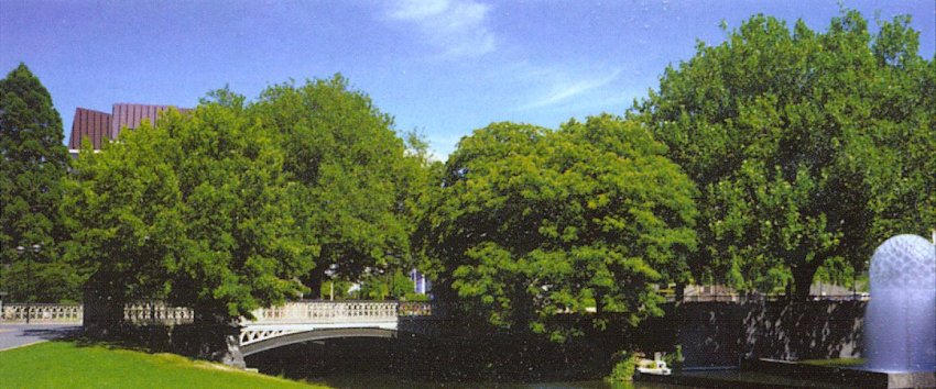 Avon River Park in Christchurch