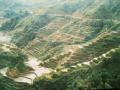 Banaue rice terraces.JPG