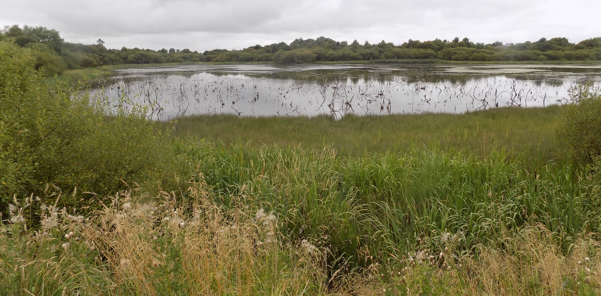 Frankfield Loch