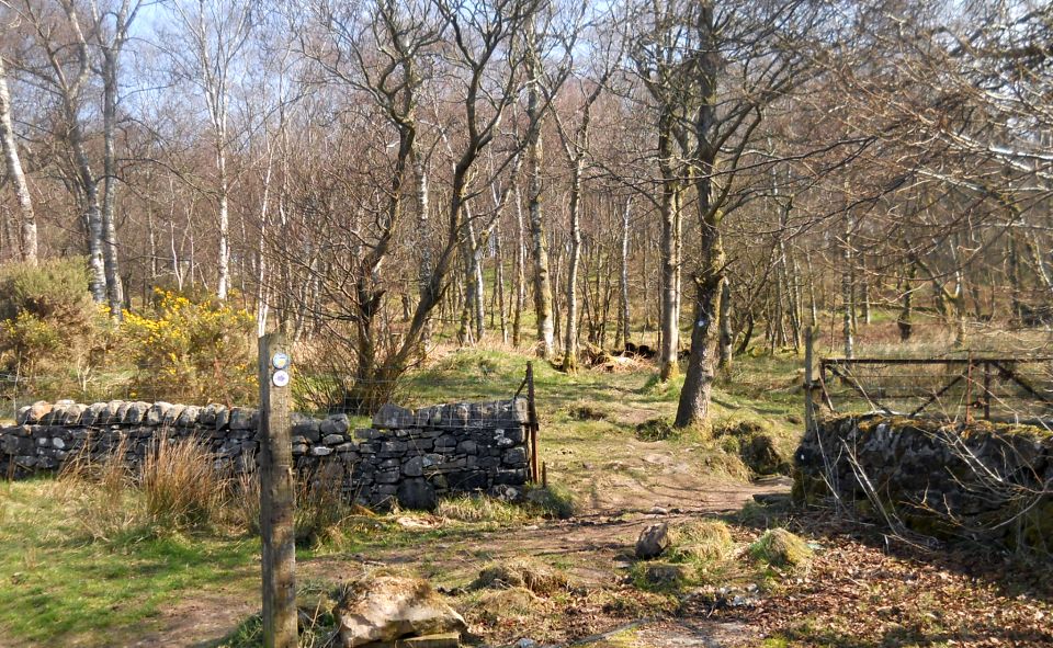 Public path from Craigendoran to Balloch