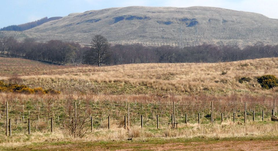 Ben Bowie from Public Path from Balloch to Helensburgh