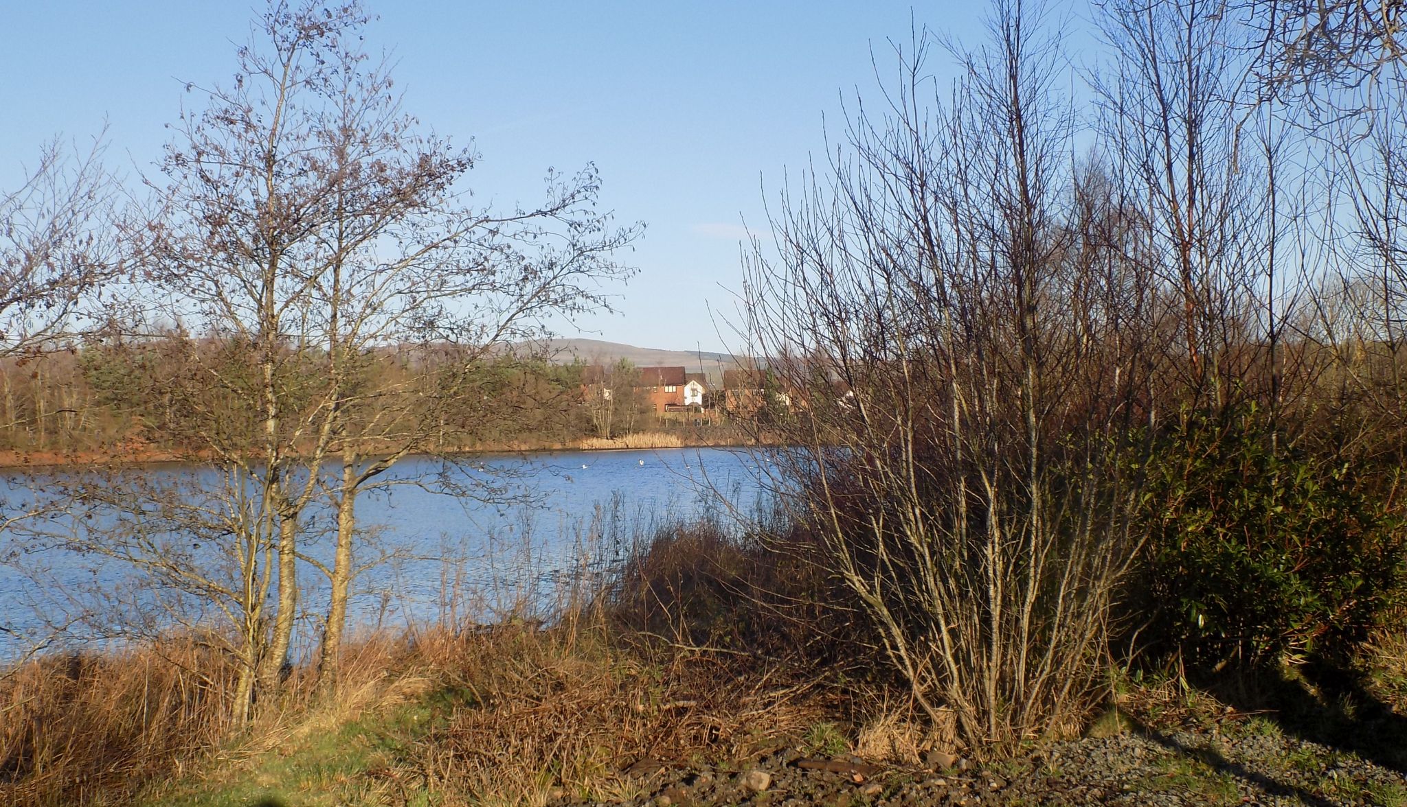 Broadwood Loch at Cumbernauld