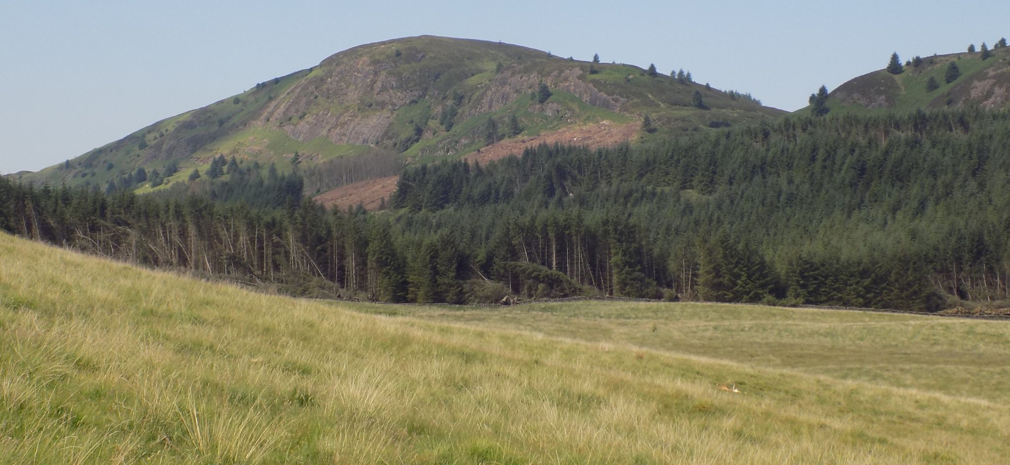 Menteith Hills above Rob Roy Way