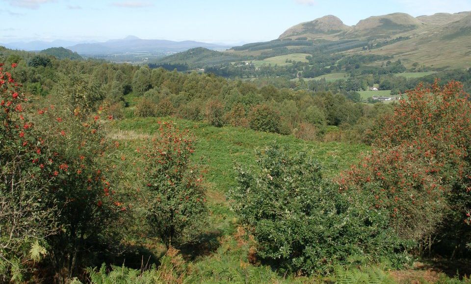 Dumgoyne and the Campsie Fells