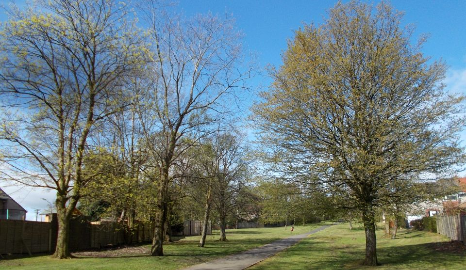 Open ground along the line of the Antonine Wall on Castle Hill