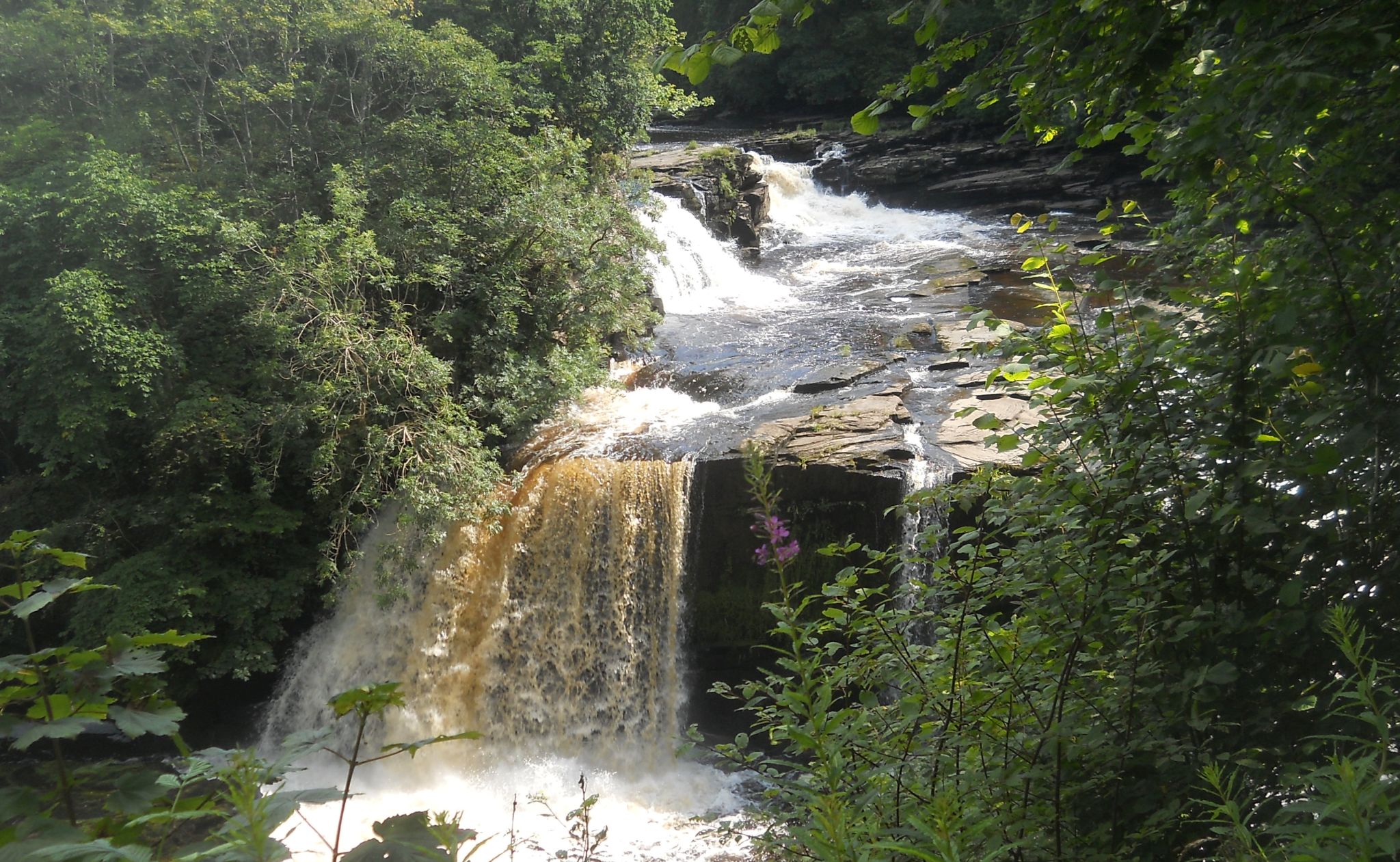 The Falls of Clyde