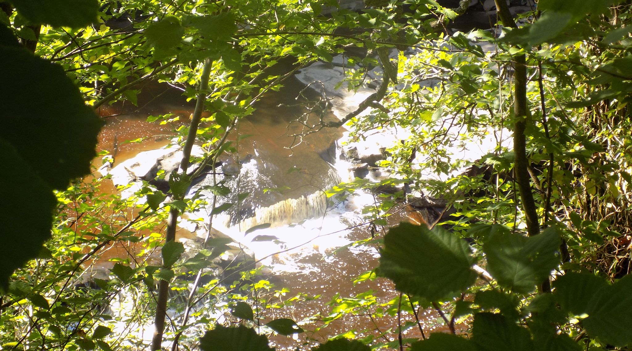 Falls on the River Clyde