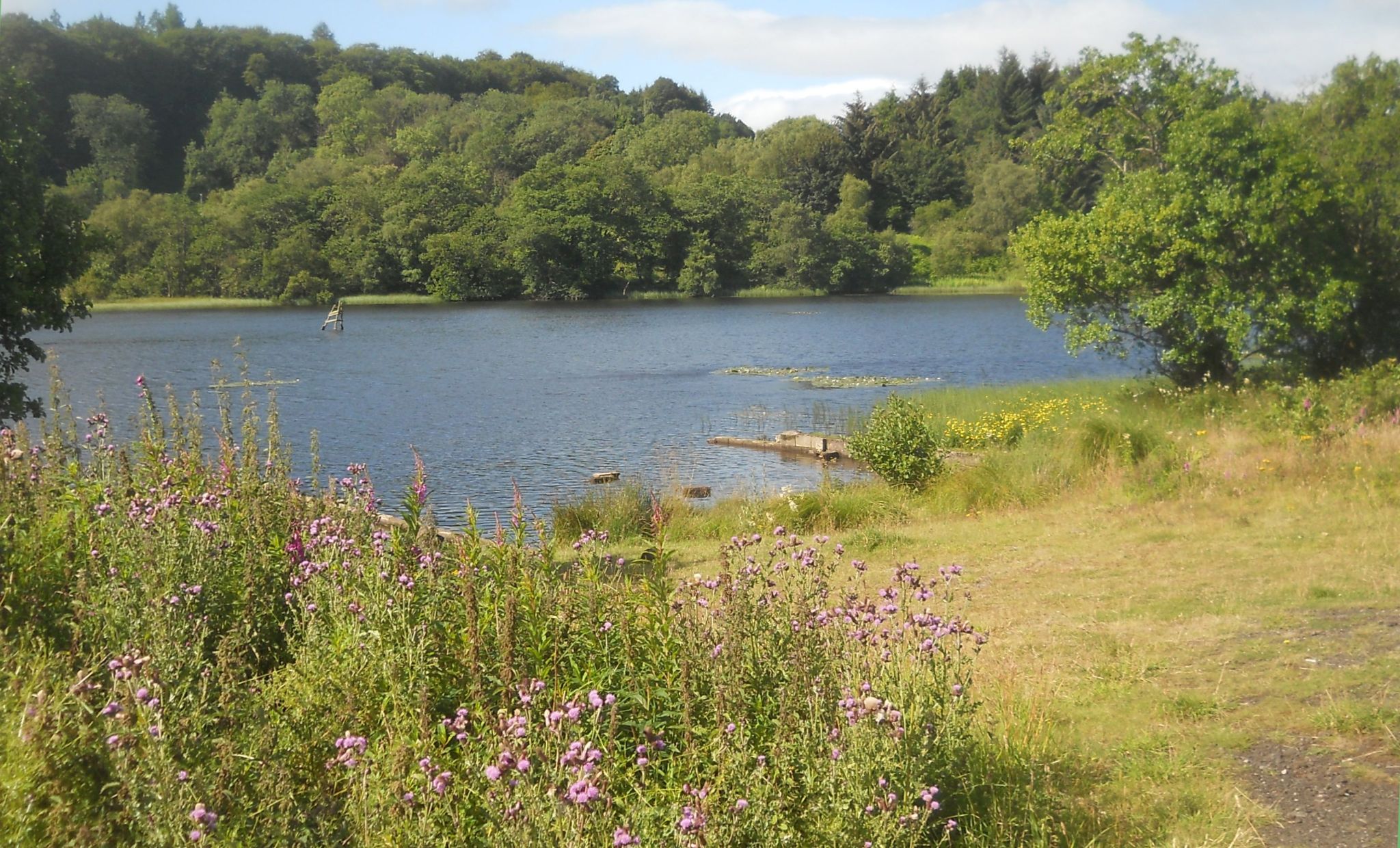 West Highland Way - Carbeth Loch