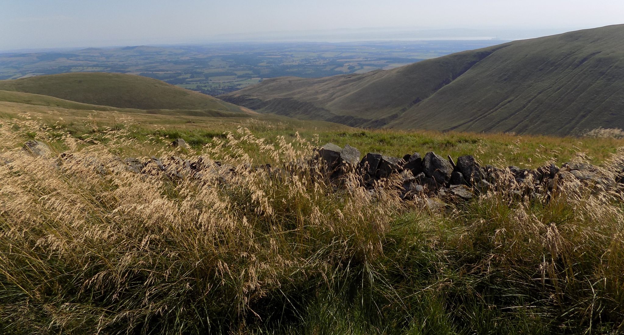 View to the south on traverse from Andrew Gannel Hill to Tarmangie Hill