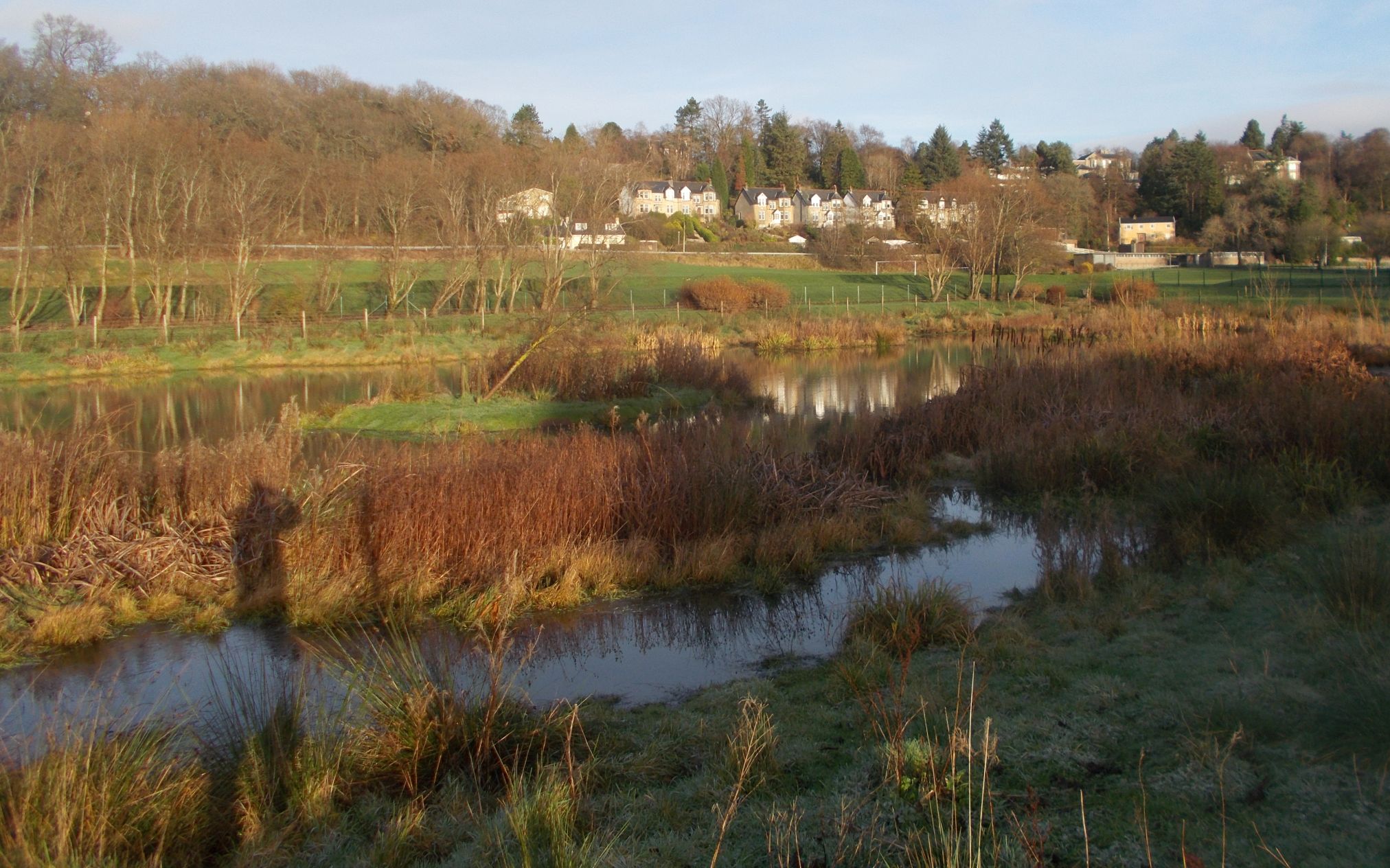 Wildlife area at Colquhoun Park