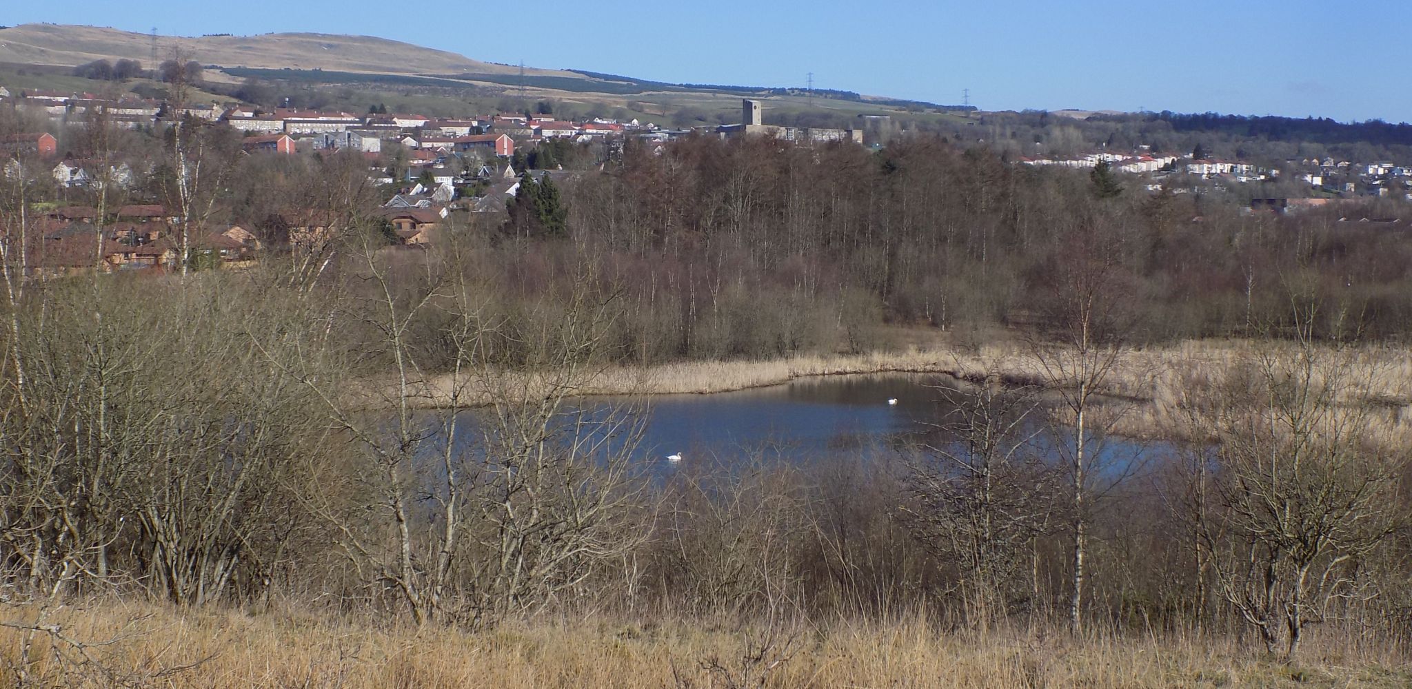 Kilsyth beyond Dumbreck Marsh