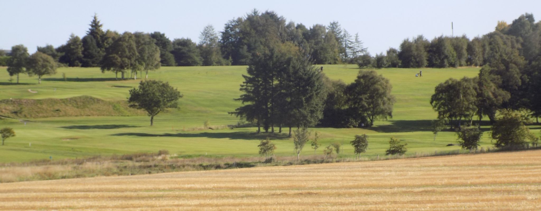 Golf course beyond Gadloch