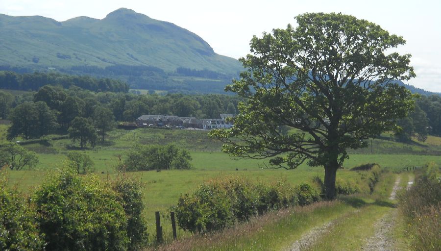 Dumgoyne in the Campsie Fells from track to Gartness