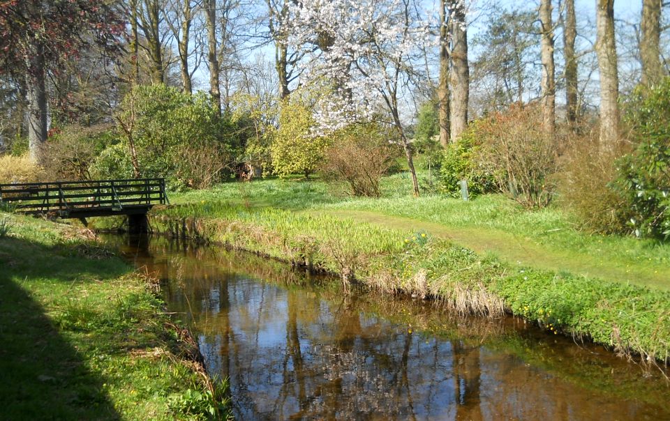 Geilston Burn in Geilston Gardens