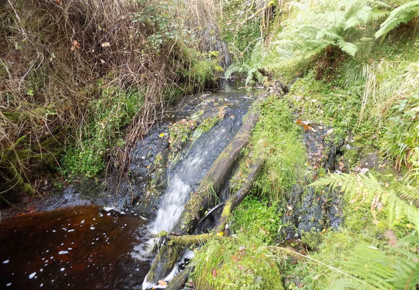 Waterfall on Boquhan Burn