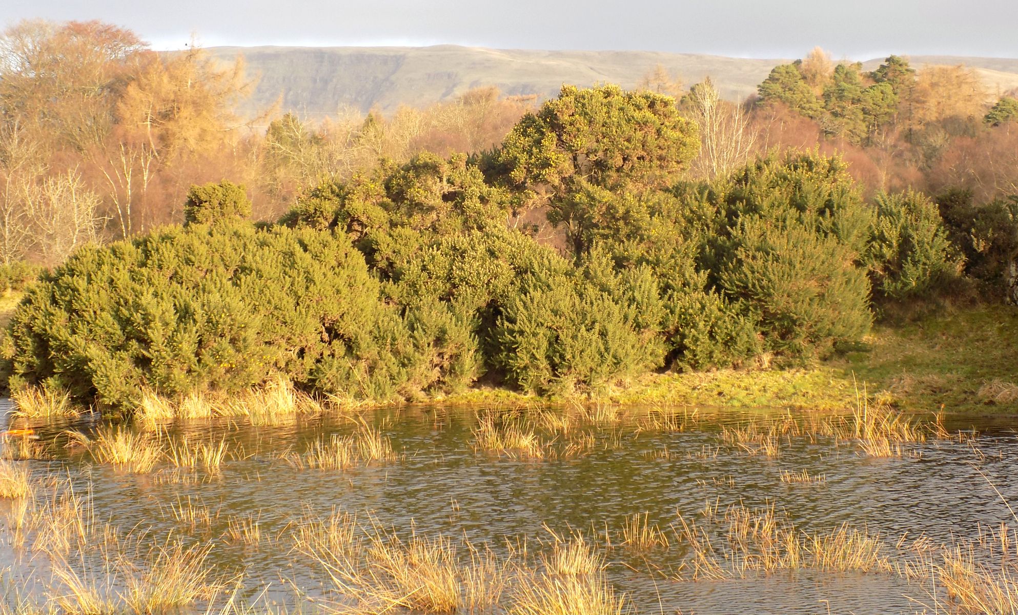 Mugdock Country Park