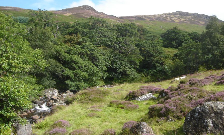 Glen Vorlich