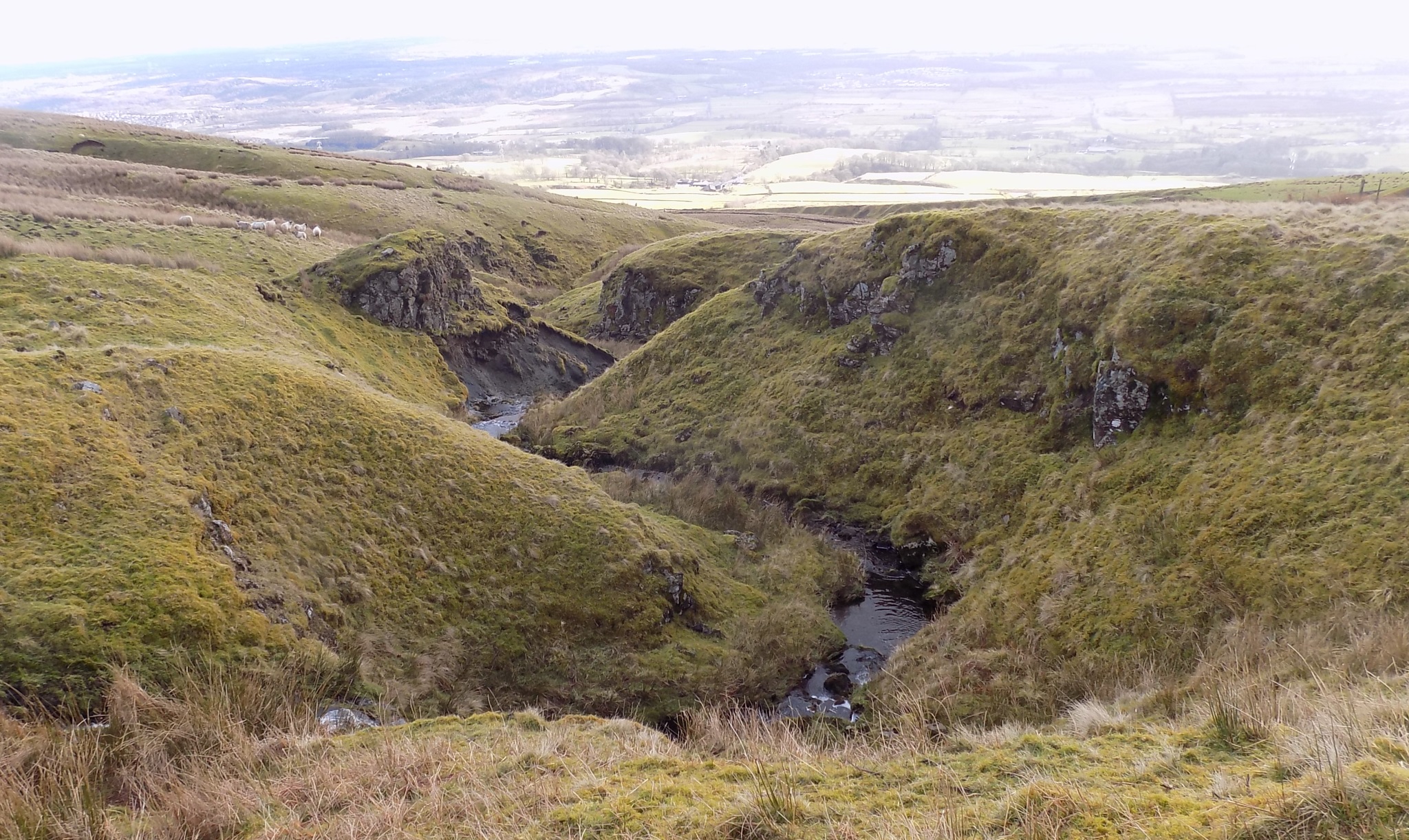 Corrie Burn above Glen