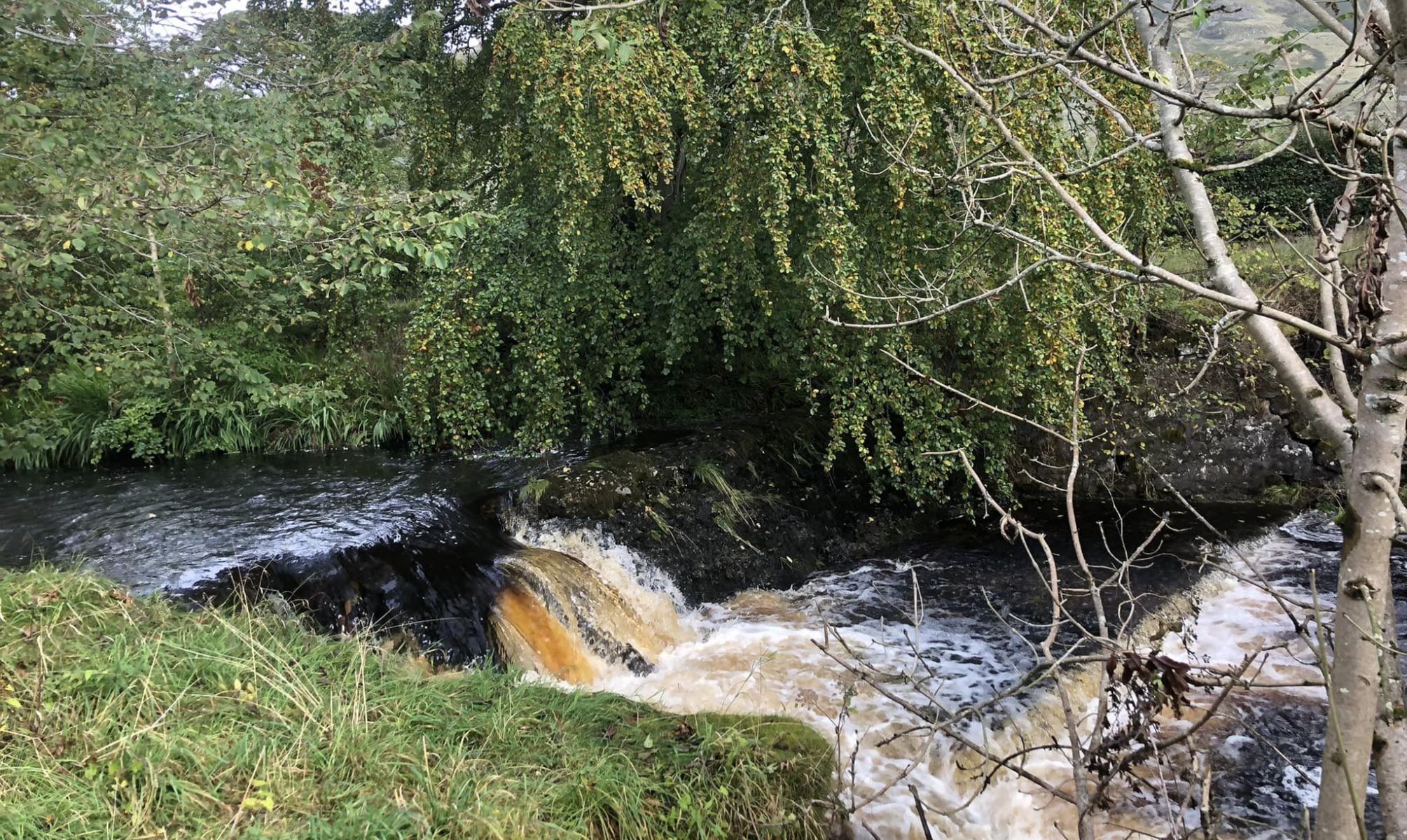 Glazert Water from the Thomas Muir Trail to Lennoxtown