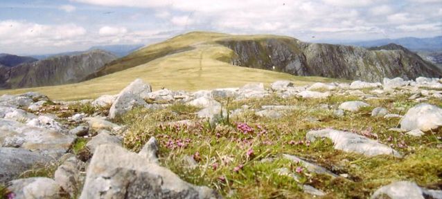 Summit Plateau of Beinn Fhada ( Attow )