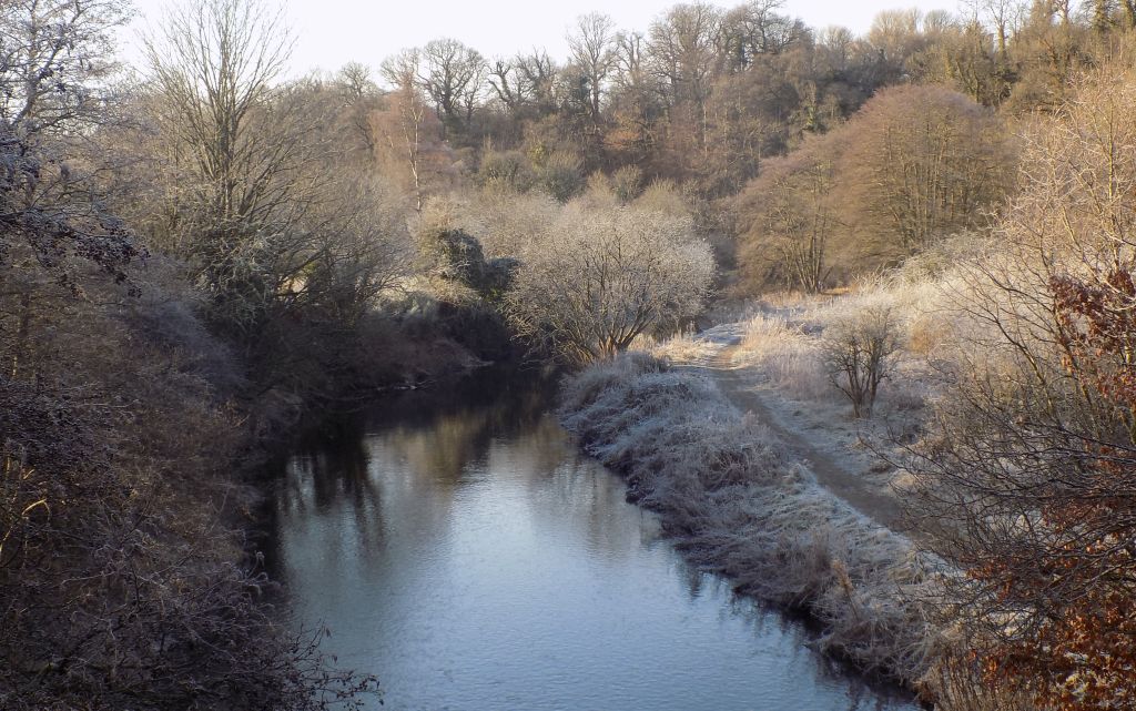 South Calder Water in Strathclyde Country Park