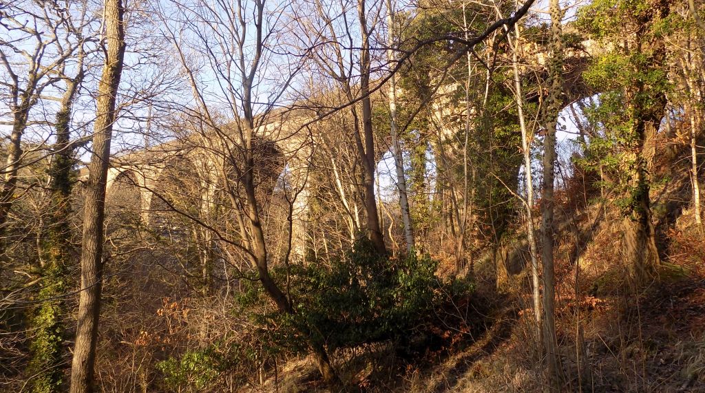 Railway Viaduct over South Calder Water in Strathclyde Country Park