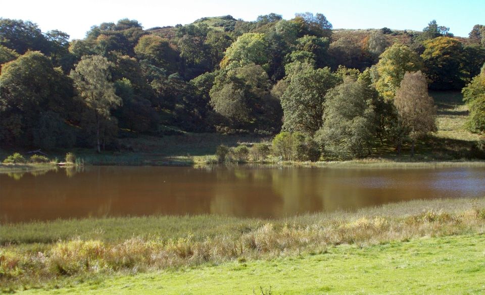 Dun Hill above Loch Bowie