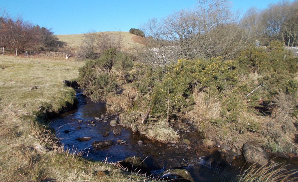 Craigton Burn