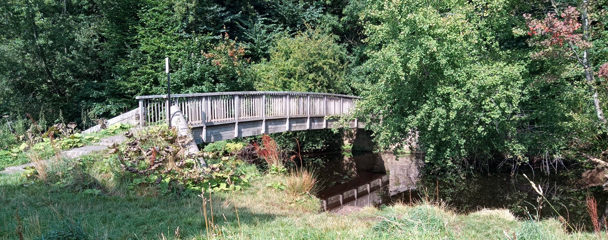 Bridge over the Water of Leith