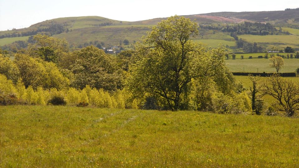 On route from Balloch to Whinny Hill