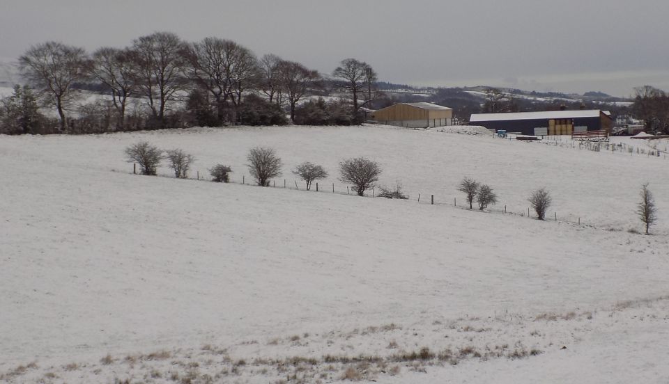 Fields of South Mains Farm