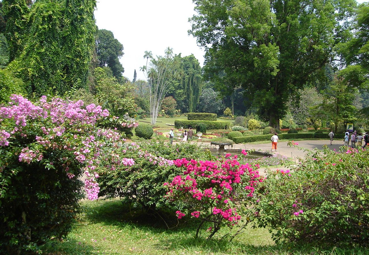 Peradeniya Botanic Gardens