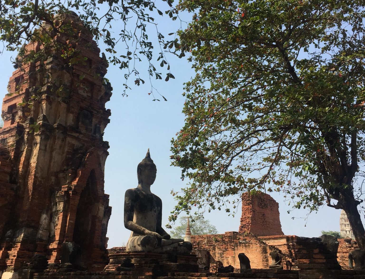 Buddha statue at Ayutthaya in Northern Thailand