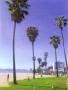 los_angeles_beach.jpg